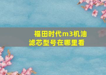 福田时代m3机油滤芯型号在哪里看