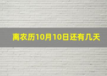 离农历10月10日还有几天