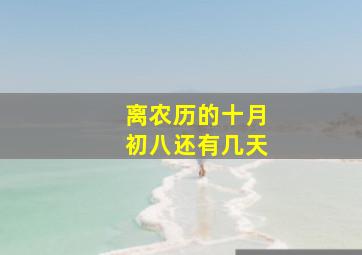 离农历的十月初八还有几天