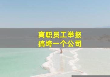 离职员工举报搞垮一个公司