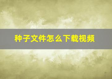 种子文件怎么下载视频