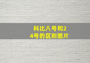 科比八号和24号的区别图片