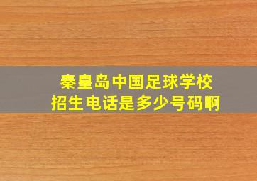 秦皇岛中国足球学校招生电话是多少号码啊