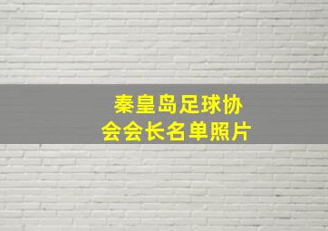 秦皇岛足球协会会长名单照片