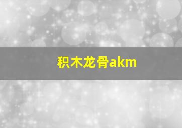 积木龙骨akm