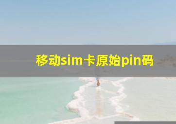 移动sim卡原始pin码