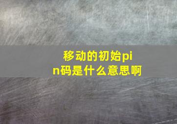 移动的初始pin码是什么意思啊