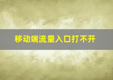 移动端流量入口打不开