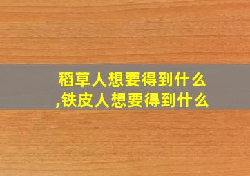 稻草人想要得到什么,铁皮人想要得到什么