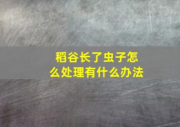 稻谷长了虫子怎么处理有什么办法