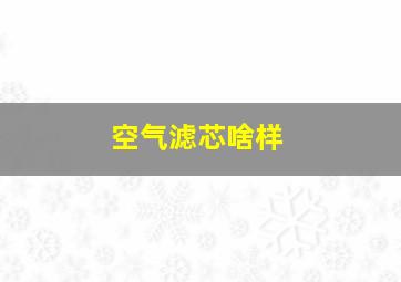 空气滤芯啥样