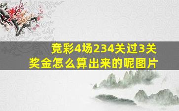 竞彩4场234关过3关奖金怎么算出来的呢图片