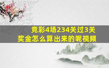 竞彩4场234关过3关奖金怎么算出来的呢视频