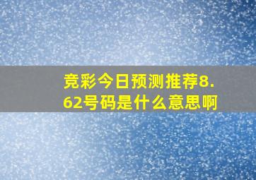 竞彩今日预测推荐8.62号码是什么意思啊