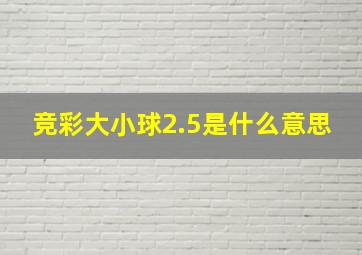 竞彩大小球2.5是什么意思