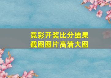 竞彩开奖比分结果截图图片高清大图