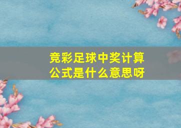 竞彩足球中奖计算公式是什么意思呀