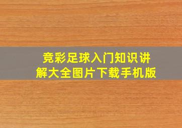 竞彩足球入门知识讲解大全图片下载手机版