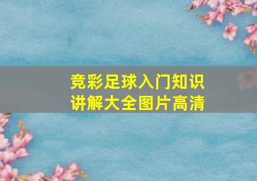 竞彩足球入门知识讲解大全图片高清