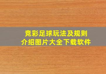 竞彩足球玩法及规则介绍图片大全下载软件