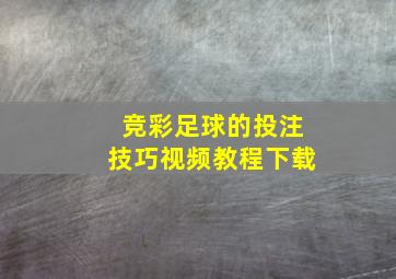 竞彩足球的投注技巧视频教程下载