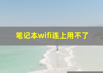 笔记本wifi连上用不了