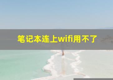 笔记本连上wifi用不了