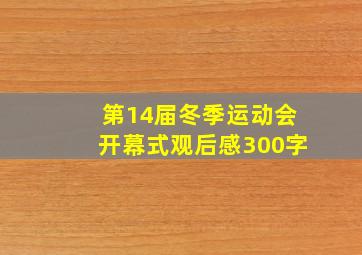 第14届冬季运动会开幕式观后感300字