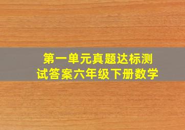 第一单元真题达标测试答案六年级下册数学