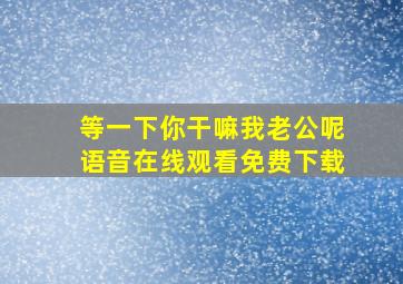 等一下你干嘛我老公呢语音在线观看免费下载