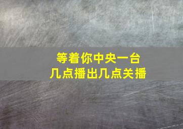 等着你中央一台几点播出几点关播