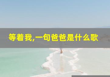 等着我,一句爸爸是什么歌