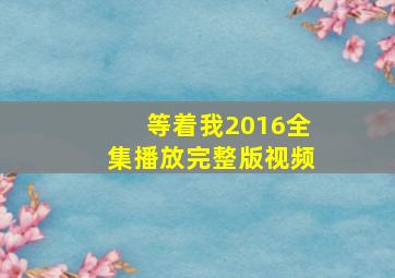 等着我2016全集播放完整版视频