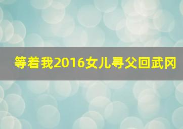 等着我2016女儿寻父回武冈