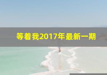 等着我2017年最新一期