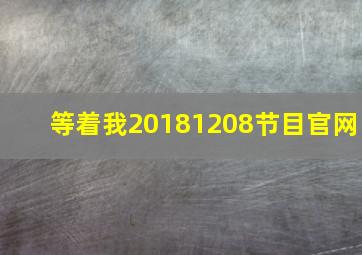 等着我20181208节目官网