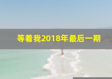 等着我2018年最后一期