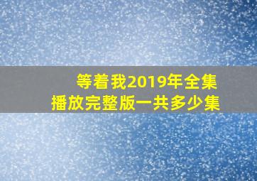 等着我2019年全集播放完整版一共多少集