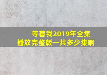 等着我2019年全集播放完整版一共多少集啊