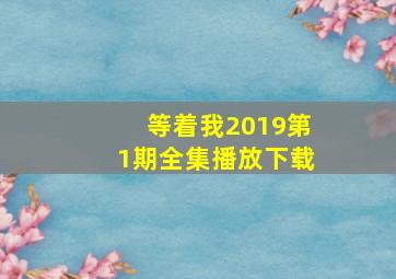 等着我2019第1期全集播放下载