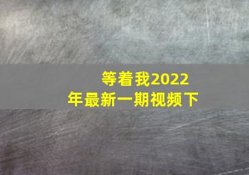 等着我2022年最新一期视频下