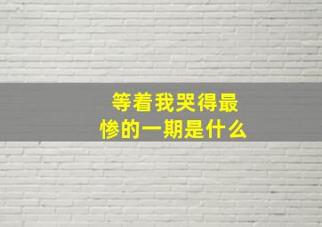 等着我哭得最惨的一期是什么