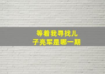 等着我寻找儿子亮军是哪一期