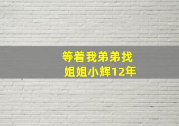 等着我弟弟找姐姐小辉12年