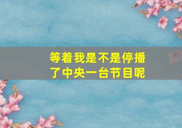 等着我是不是停播了中央一台节目呢