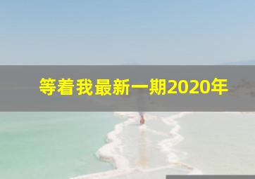 等着我最新一期2020年