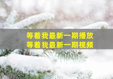 等着我最新一期播放等着我最新一期视频