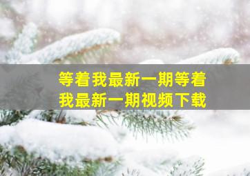 等着我最新一期等着我最新一期视频下载