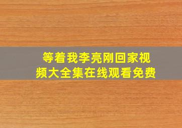 等着我李亮刚回家视频大全集在线观看免费