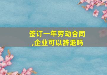 签订一年劳动合同,企业可以辞退吗